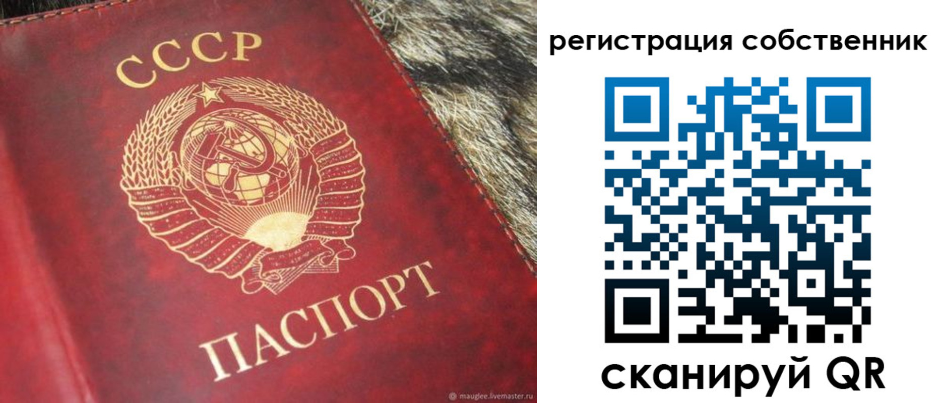 временная регистрация надежно в Емве